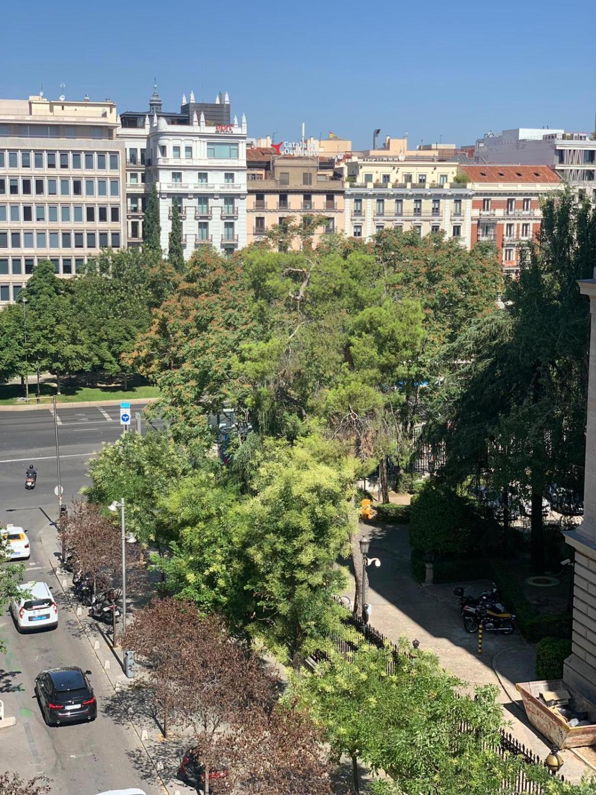 Luxury Studio Retiro Park & Prado Museum Madrid Buitenkant foto